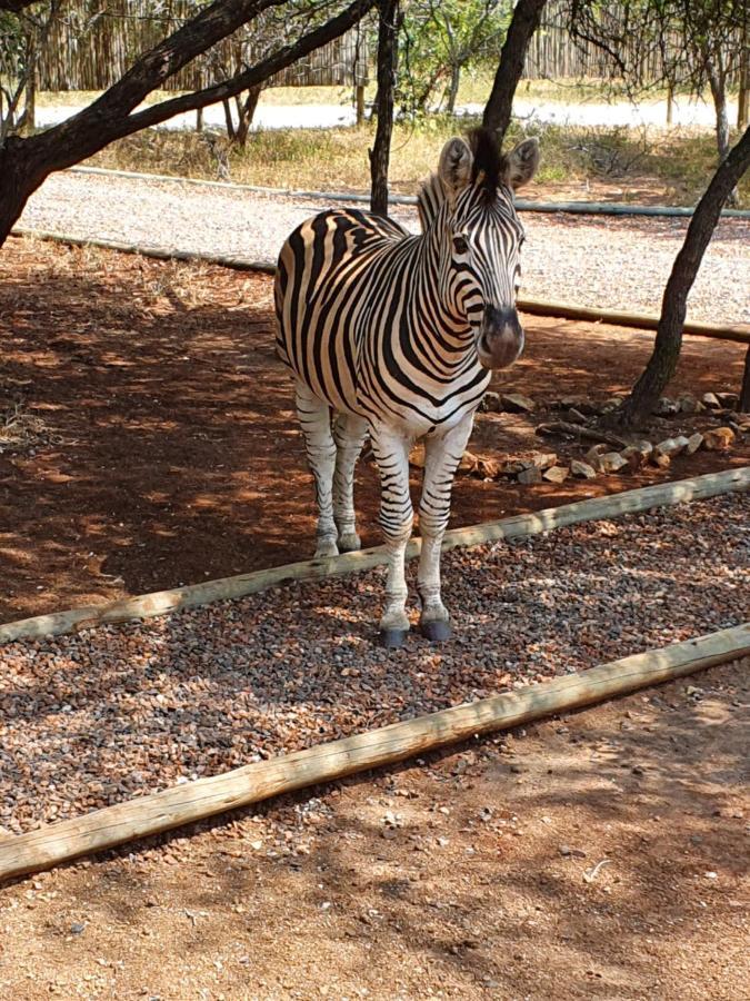 Luvivane Luxury Villa Marloth Park Bagian luar foto